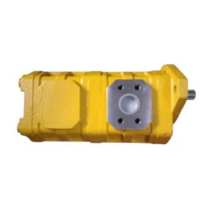 Penium Pump
